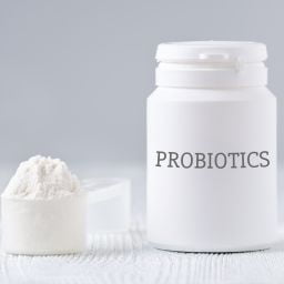 Probiotics